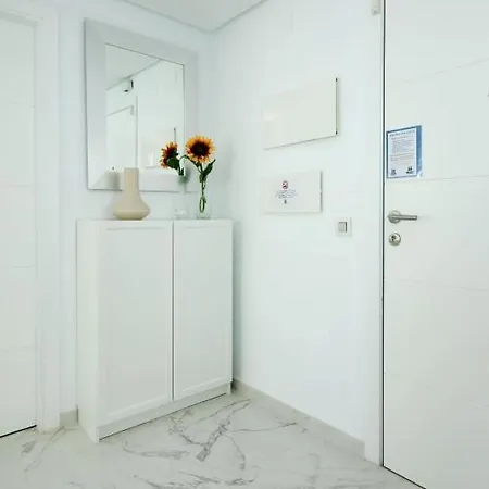 Del Mar Luxury Penthouse With Access Apartment