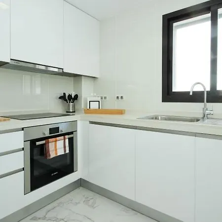 Del Mar Luxury Penthouse With Access Apartment