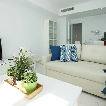 Apartment Del Mar Luxury Penthouse With Access